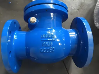 Zpětný ventil z tvárné litiny PN10